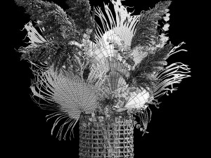 Bouquets of dried flowers with palm leaves in a basket Model 3D