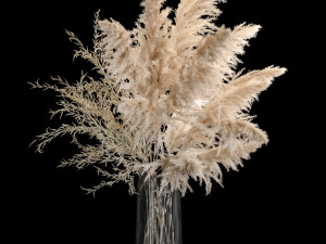 Bouquet Of Pampas Grass In A Vase Dried Flowers 3D Models