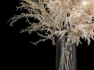 Bouquet Of Pampas Grass In A Vase Dried Flowers 3Dモデル