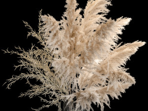 Bouquet Of Pampas Grass In A Vase Dried Flowers 3Dモデル