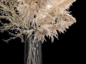 Bouquet Of Pampas Grass In A Vase Dried Flowers 3Dモデル