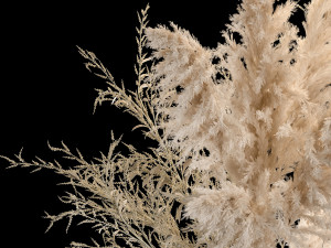 Bouquet Of Pampas Grass In A Vase Dried Flowers 3Dモデル