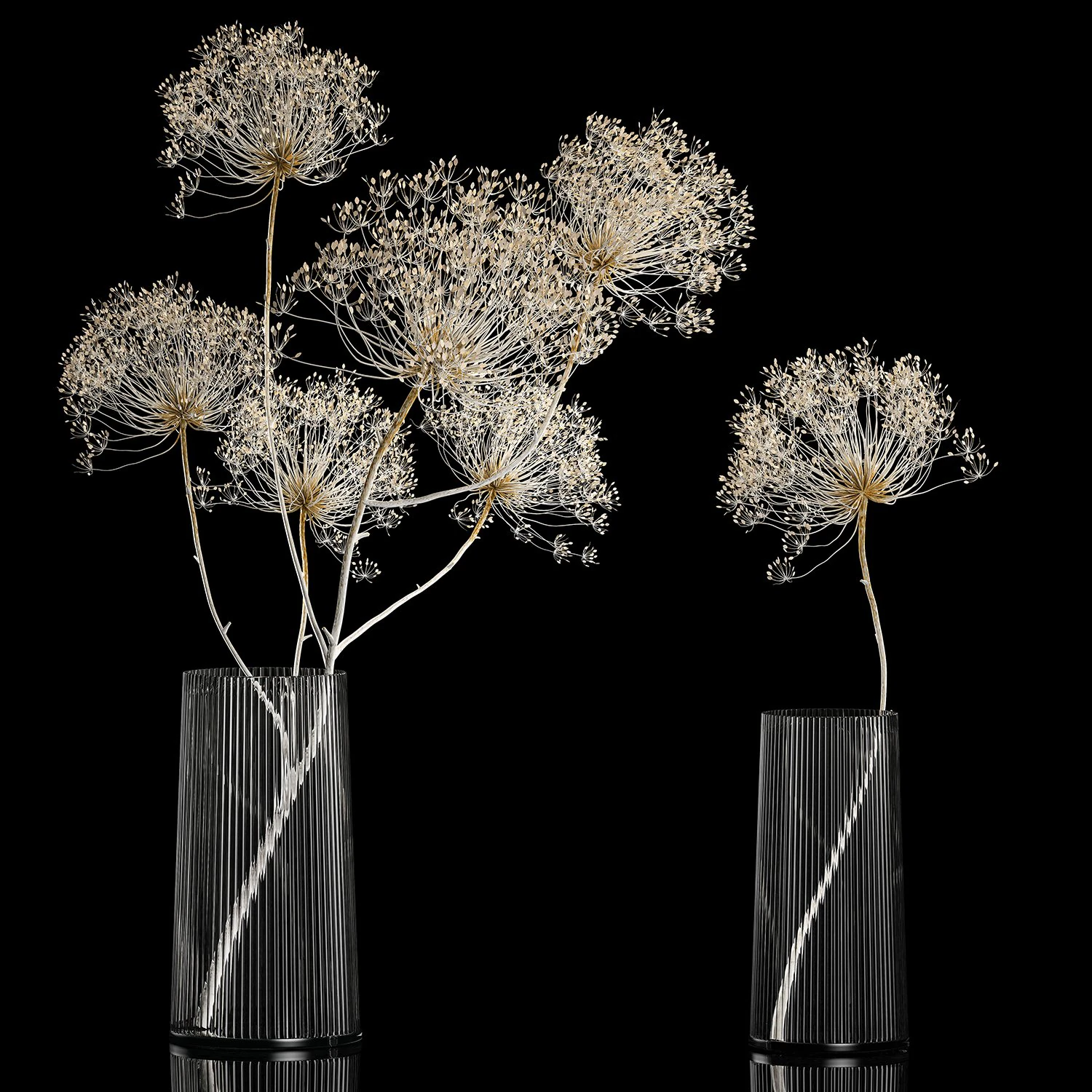 Bouquets Of Dried Heracleum Flowers And Decor 3D Model .c4d .max .obj .3ds .fbx .stl .blend 