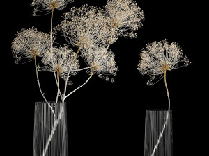 Bouquets Of Dried Heracleum Flowers And Decor 3D Models