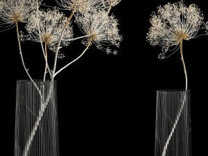 Bouquets Of Dried Heracleum Flowers And Decor 3D Model