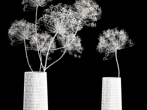 Bouquets Of Dried Heracleum Flowers And Decor 3Dモデル