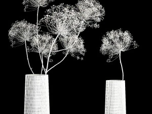 Bouquets Of Dried Heracleum Flowers And Decor 3D Model