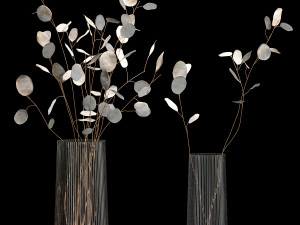 Bouquets Of Dried Flowers Lunaria In Vases 3D Model