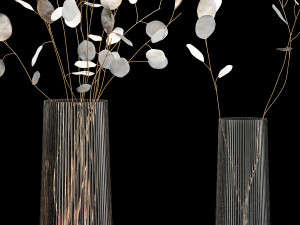 Bouquets Of Dried Flowers Lunaria In Vases 3D Model