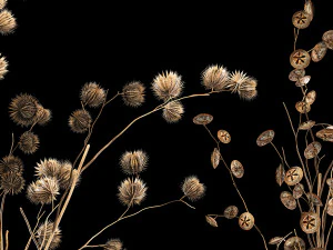Bouquet of dried flowers from thorn and eucalyptus branches 3D Model
