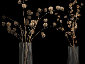 Bouquet of dried flowers from thorn and eucalyptus branches 3D Model