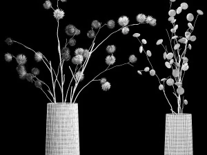 Bouquet of dried flowers from thorn and eucalyptus branches 3D Model