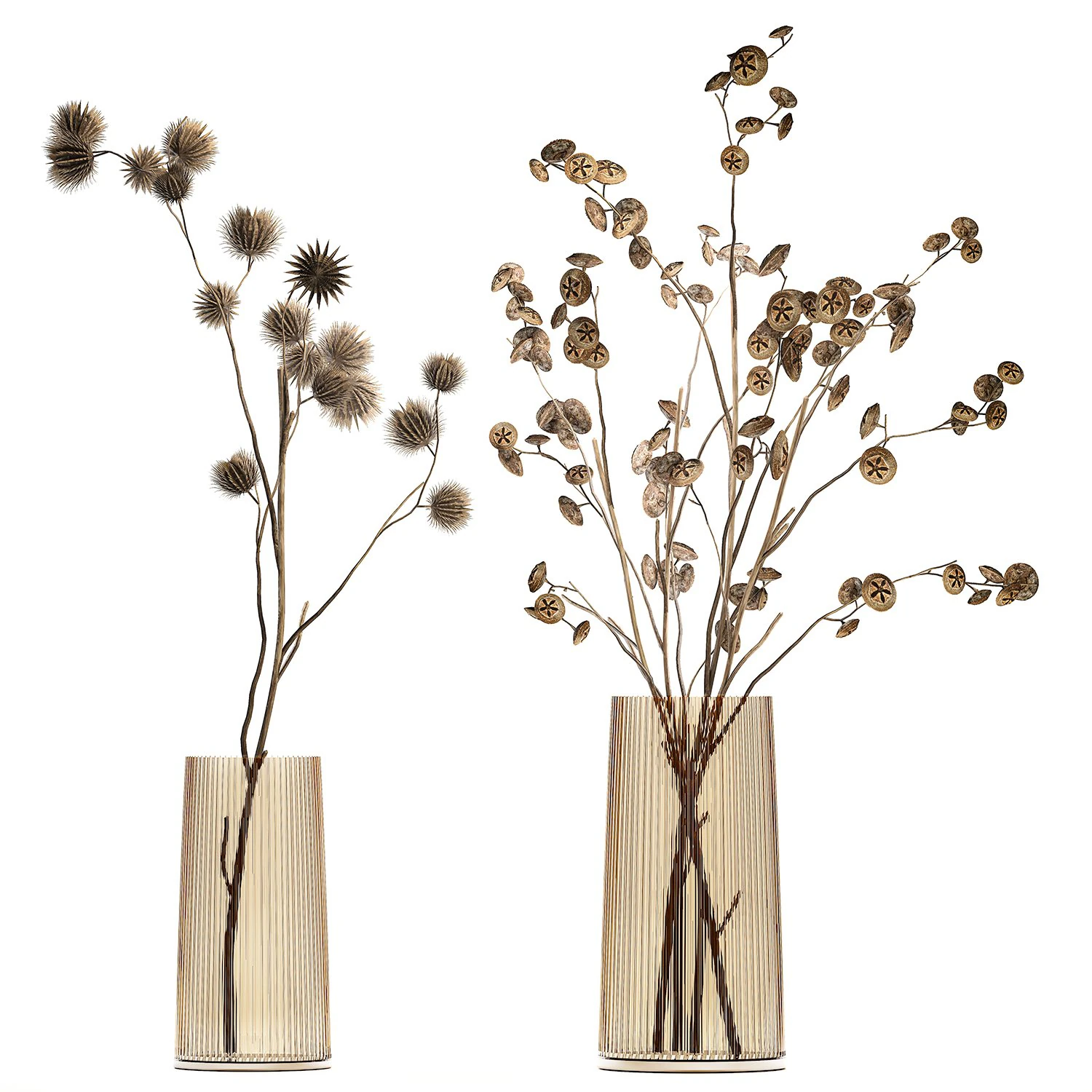Bouquet of dried flowers from thorn and eucalyptus branches 3D Model .c4d .max .obj .3ds .fbx .stl .blend 