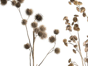 Bouquet of dried flowers from thorn and eucalyptus branches 3D Model