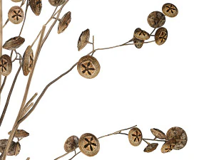 Bouquet of dried flowers from thorn and eucalyptus branches 3D Model