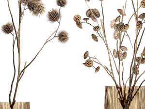 Bouquet of dried flowers from thorn and eucalyptus branches 3D Model