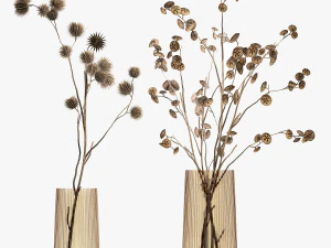 Bouquet of dried flowers from thorn and eucalyptus branches 3D Model