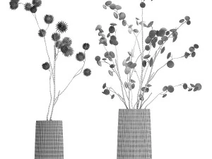 Bouquet of dried flowers from thorn and eucalyptus branches 3D Model