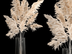 Bouquet Dried Flowers From Pampas Grass In A Vase 246 3D Models