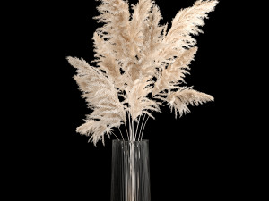 Bouquet Dried Flowers From Pampas Grass In A Vase 246 3D Модель