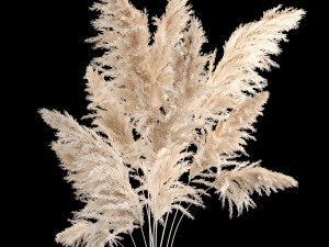 Bouquet Dried Flowers From Pampas Grass In A Vase 246 3D Модель