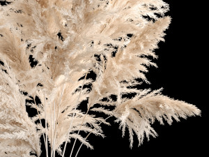 Bouquet Dried Flowers From Pampas Grass In A Vase 246 3D Модель
