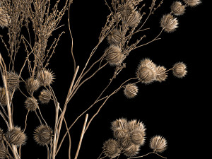 Bouquet Of Dried Flowers From Thorn And branches 3D 모델