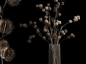 कांटों और शाखाओं से सूखे फूलों का गुलदस्ता 3D मॉडल