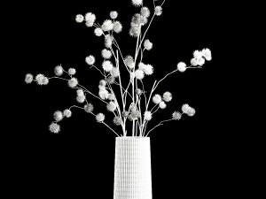 Bouquet Of Dried Flowers From Thorn And branches 3D Model