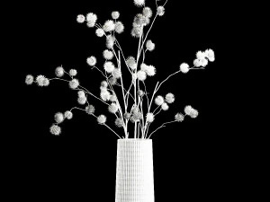 Bouquet Of Dried Flowers From Thorn And branches 3D Model