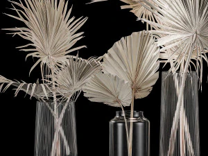 Bouquet Of Bleached Dry Palm Leaves In A Vase 3D Model