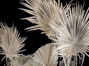 Bouquet Of Bleached Dry Palm Leaves In A Vase 3D 모델