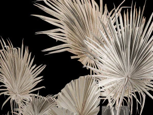 Bouquet Of Bleached Dry Palm Leaves In A Vase 3D Model