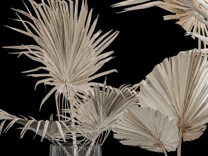 Bouquet Of Bleached Dry Palm Leaves In A Vase 3D Model