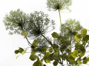 Decorative Bouquets From Branches In Vases 240 Modelo 3D