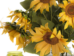 Bouquet Of Yellow Sunflowers In A Glass Vase 3D-Modell