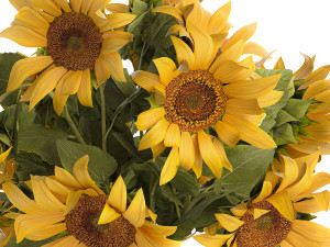 Bouquet Of Yellow Sunflowers In A Glass Vase 3D-Modell