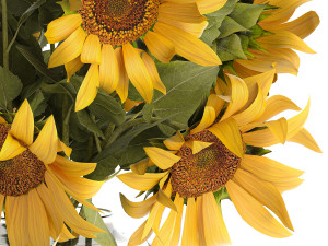 Bouquet Of Yellow Sunflowers In A Glass Vase 3D-Modell