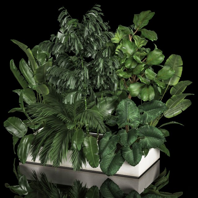 Flowerbed Of Plants With Tropical Thickets Modèle 3D .c4d .max .obj .3ds .fbx .stl .blend 