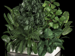 Flowerbed Of Plants With Tropical Thickets 3D Models