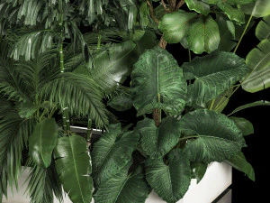 Flowerbed Of Plants With Tropical Thickets 3D Model