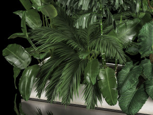 Flowerbed Of Plants With Tropical Thickets Modèle 3D