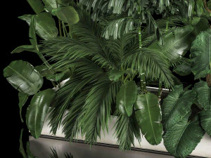 Flowerbed Of Plants With Tropical Thickets 3D Model