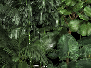 Flowerbed Of Plants With Tropical Thickets Modèle 3D