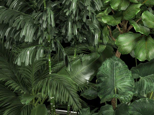 Flowerbed Of Plants With Tropical Thickets 3D Model