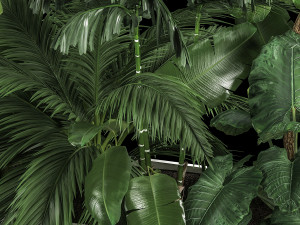 Flowerbed Of Plants With Tropical Thickets Modèle 3D