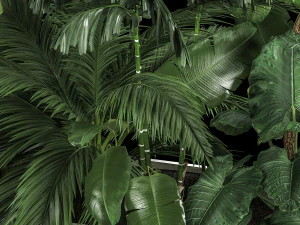 Flowerbed Of Plants With Tropical Thickets 3D Model