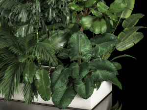 Flowerbed Of Plants With Tropical Thickets 3D Model