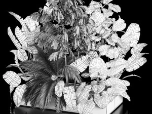 Flowerbed Of Plants With Tropical Thickets 3D Model