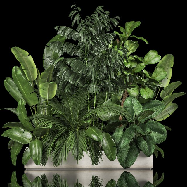 Flowerbed Of Plants With Tropical Thickets 1113 3D Model .c4d .max .obj .3ds .fbx .stl .blend 